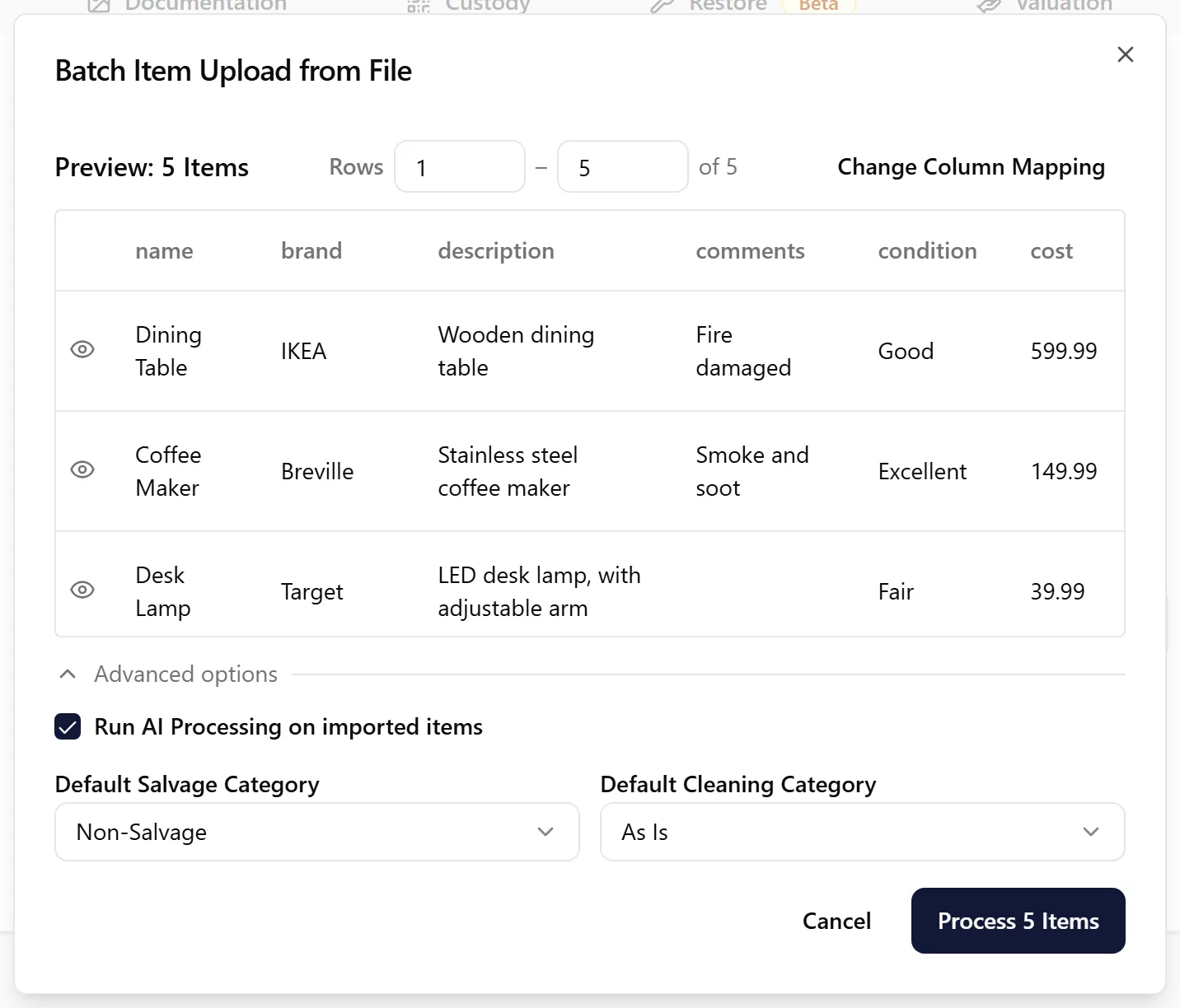 Preview showing mapped items ready for processing