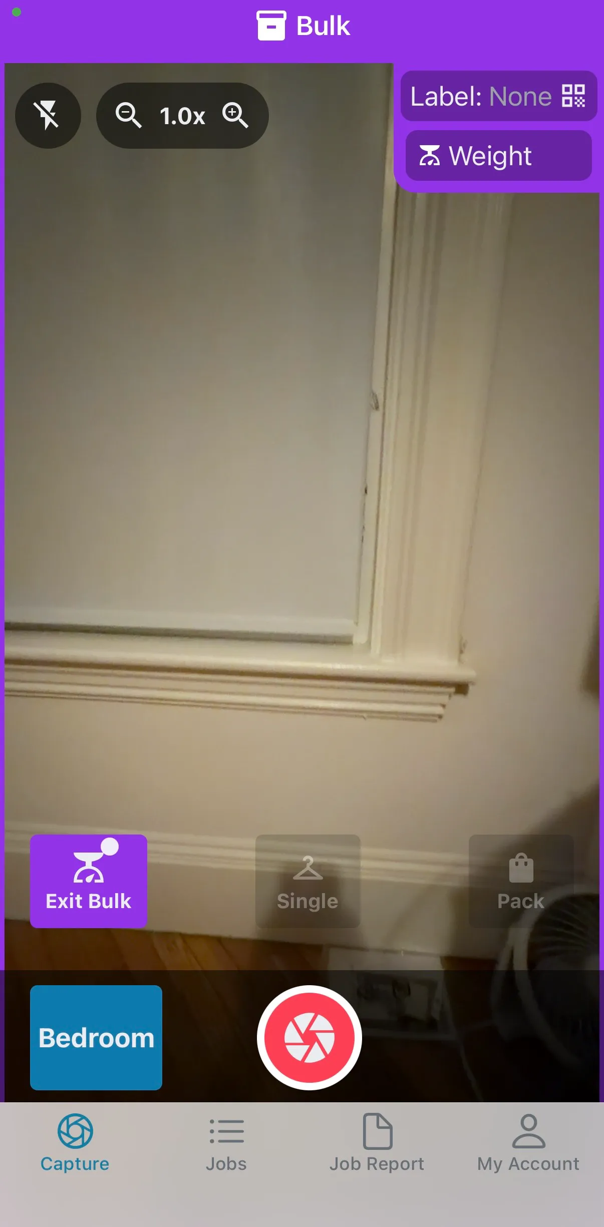 Bulk button highlighted on capture screen